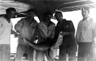 Слева направо: Насыров М.М., Душин С.А. из БЧ-2, Болквадзе Д.Р.и Мартинович А. из БЧ-5, доктор корабля Логинов А. Средиземка февраль 1979г. Поймали акулу ночью, а утром все фоткались.